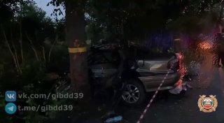 Обгон закончился трагедией в Калининградской области: молодой водитель врезался в дерево — три человека погибли