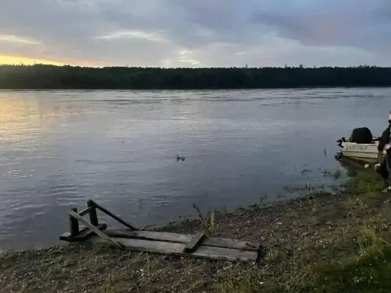 Двухлетний мальчик утонул в реке Тасей в Мотыгинском округе Трагедия...