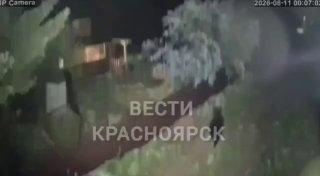 Косолапые гости вновь заглянули на территорию СНТ «Ручеёк» у станции...