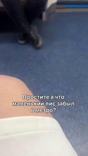 Маленького лиса заметили в метро Москвы — он сидел у женщины на коленях 🇷🇺...