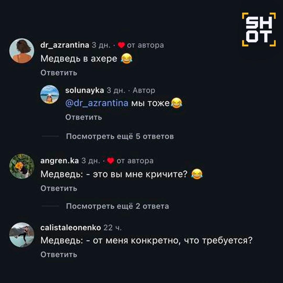 Туристки шокировали дикого медведя своими истошным криками на Алтае. Ролик...