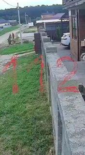 Полуголый мужчина гонялся за детьми в Армавире
