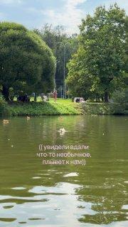Великолепная утка с укладкой приплыла к москвичам в парке Царицыно. 🇷🇺...