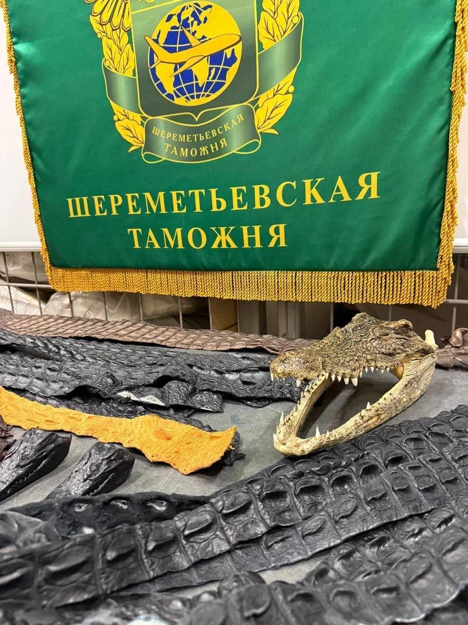64 части крокодилов «для личного пользования» обнаружили в багаже россиянина,...
