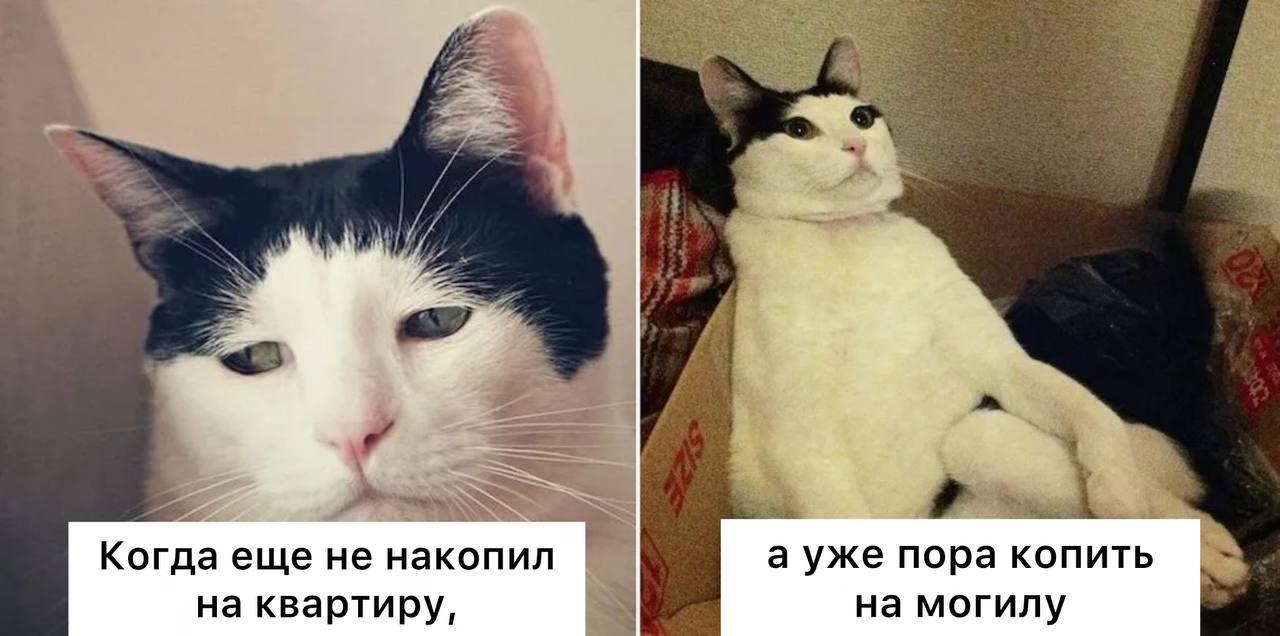 Самое дорогое место на московском кладбище стоит 14,5 млн рублей. Участок на...