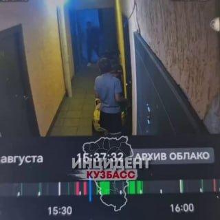 В Кемерове неадекватная женщина проникла в квартиру и избила плоскогубцами двух 12-летних девочек