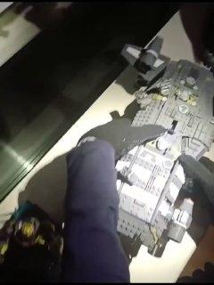 Вот такая незваная крылатая гостья залетела в квартиру на Хорошевском шоссе....
