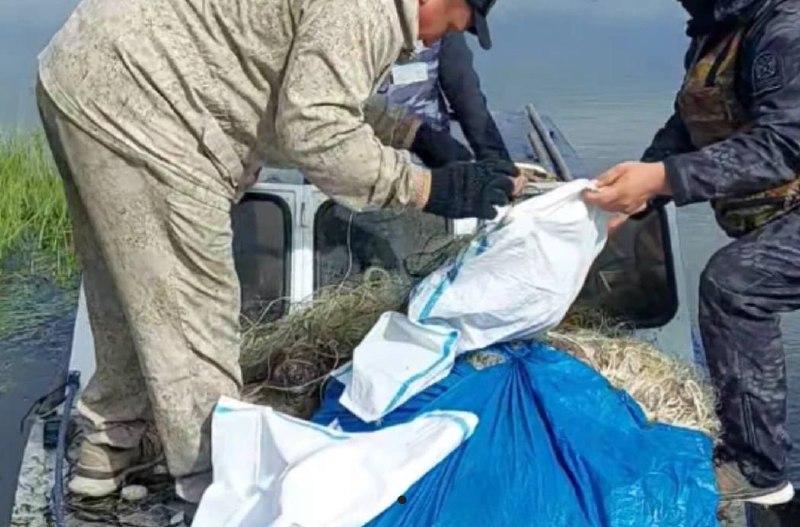 Более 26 тысяч квадратных метров дна очистили от рыболовных сетей на Байкале