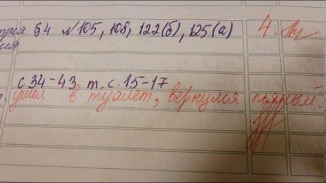 Оценки за поведение, которые будут ставить в российских школах с 1 сентября, не повлияют на допуск к экзаменам