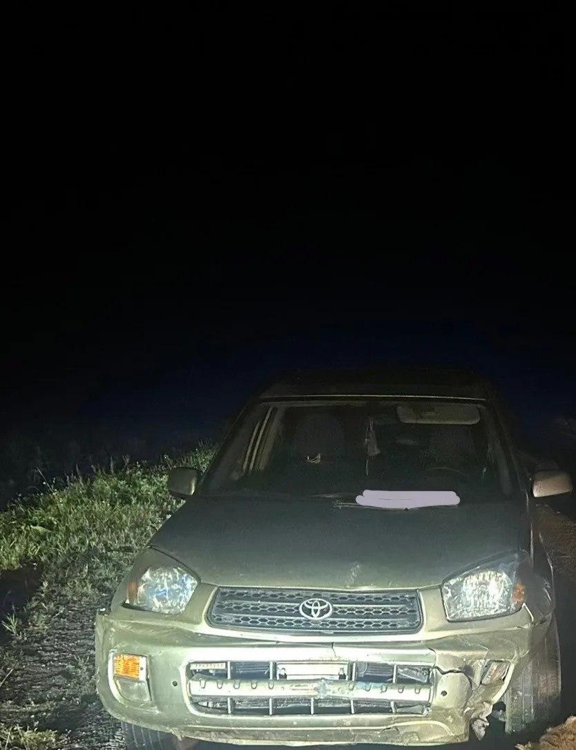 Десять овец попали под колеса Toyota Rav 4 в Боградском районе. Все произошло...