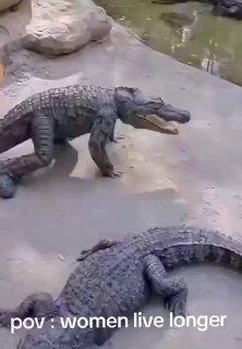Ещё одна причина, почему женщины живут дольше мужчин. Мы не Х не понимаем 🤔...