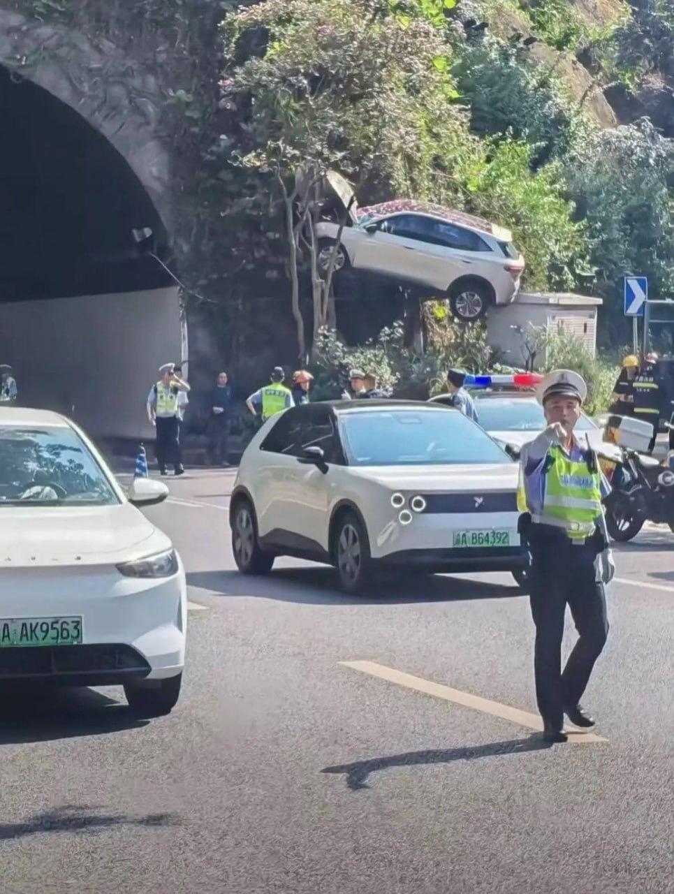 В китайском Чунцине засняли самое красивое ДТП — водитель внедорожника не справился с управлением, вылетел с дороги и каким-то образом застрял между электрощитком и цветущими деревьями.