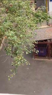 Москвич напал с палками на алкашей, которые повадились орать под окнами многоэтажного дома