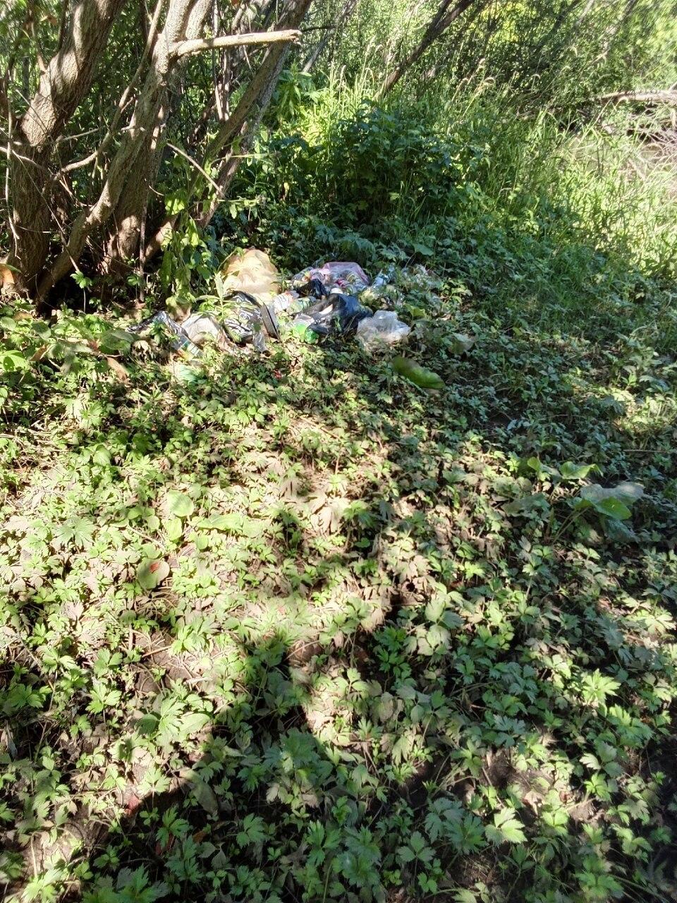 В селе Бережки привели в порядок территорию возле остановок Бойцы ТОС отряда...