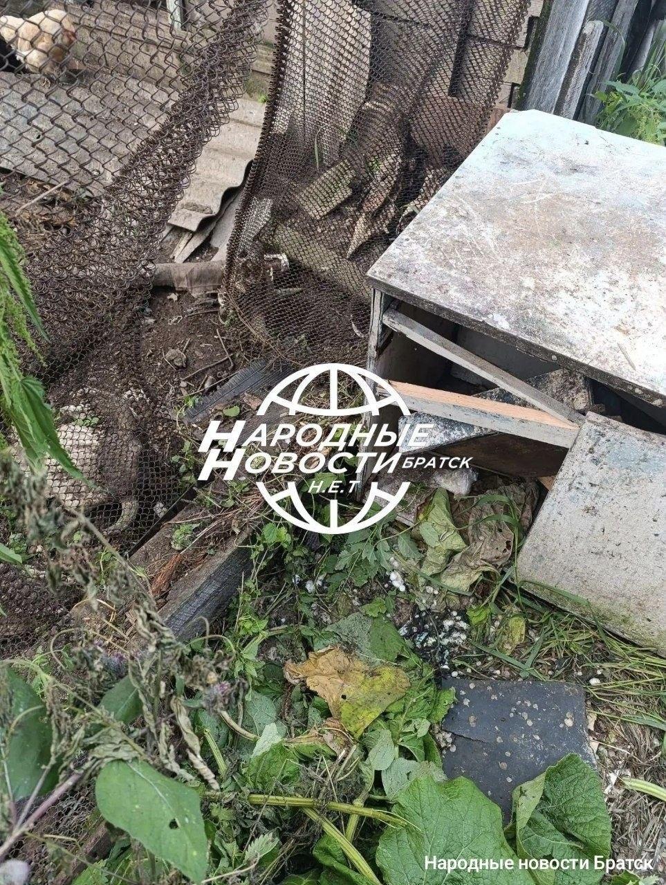 Медведь держит в страхе жителей поселка Наратай в Братском районе Хищник...
