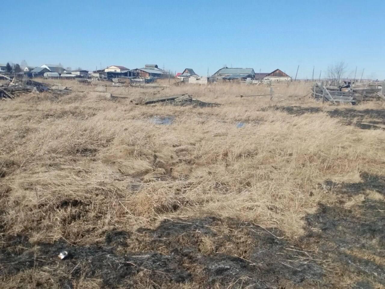 В Канске нарушителя оштрафовали за выжигание сухой травы и потребовали...