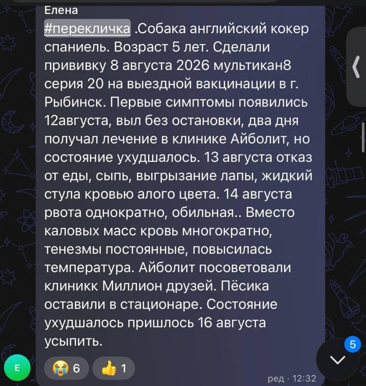 Сотни собак по всей России оказались при смерти после прививки от бешенства «Мультикан-8» — питомцев рвало кровью, обезвоживало диареей и сжигало изнутри высокой температурой, пишут СМИ.