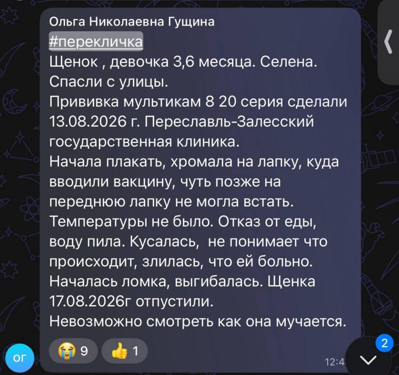 Сотни собак по всей России оказались при смерти после прививки от бешенства «Мультикан-8» — питомцев рвало кровью, обезвоживало диареей и сжигало изнутри высокой температурой, пишут СМИ.