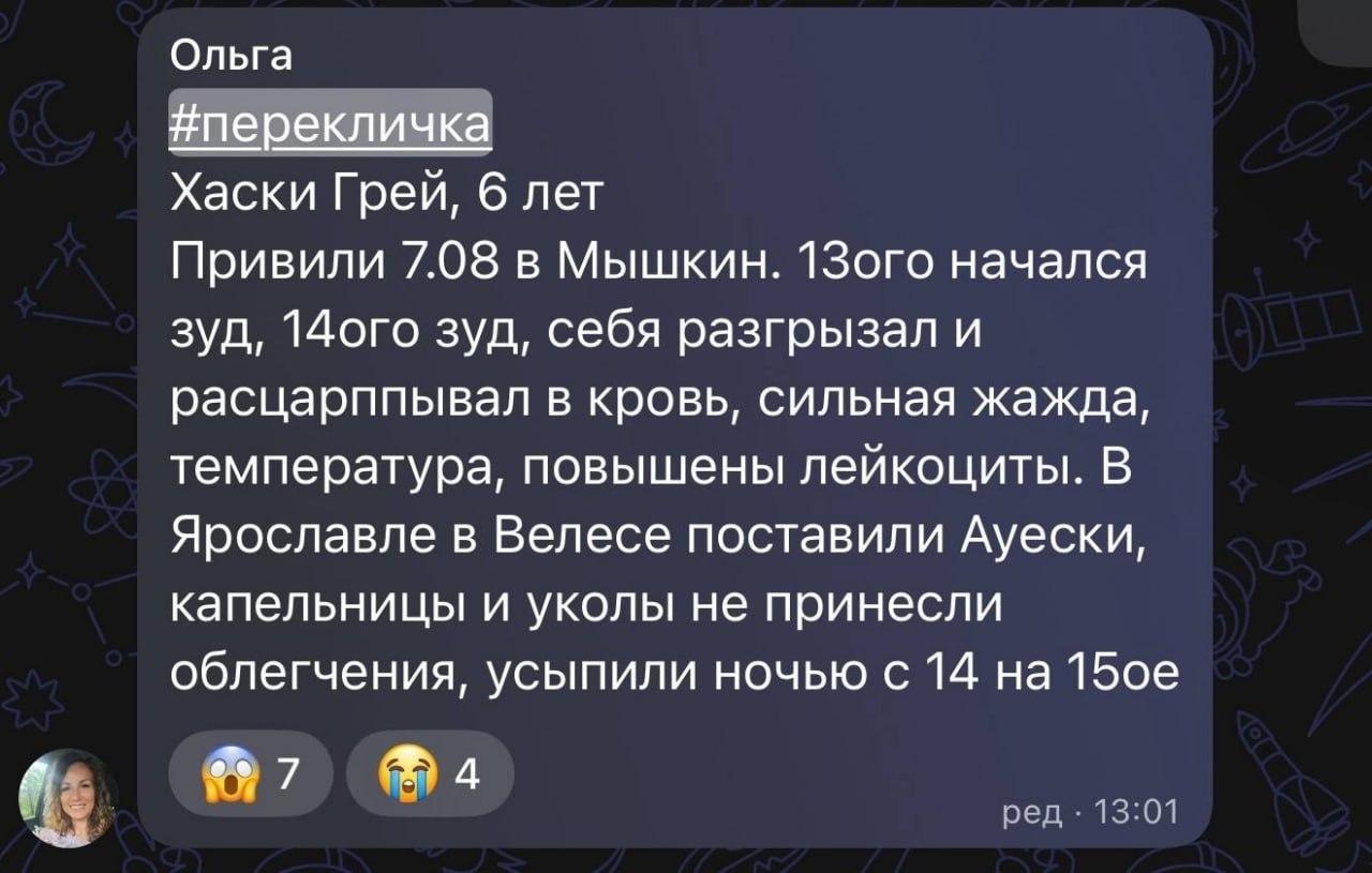 Сотни собак по всей России оказались при смерти после прививки от бешенства «Мультикан-8» — питомцев рвало кровью, обезвоживало диареей и сжигало изнутри высокой температурой, пишут СМИ.