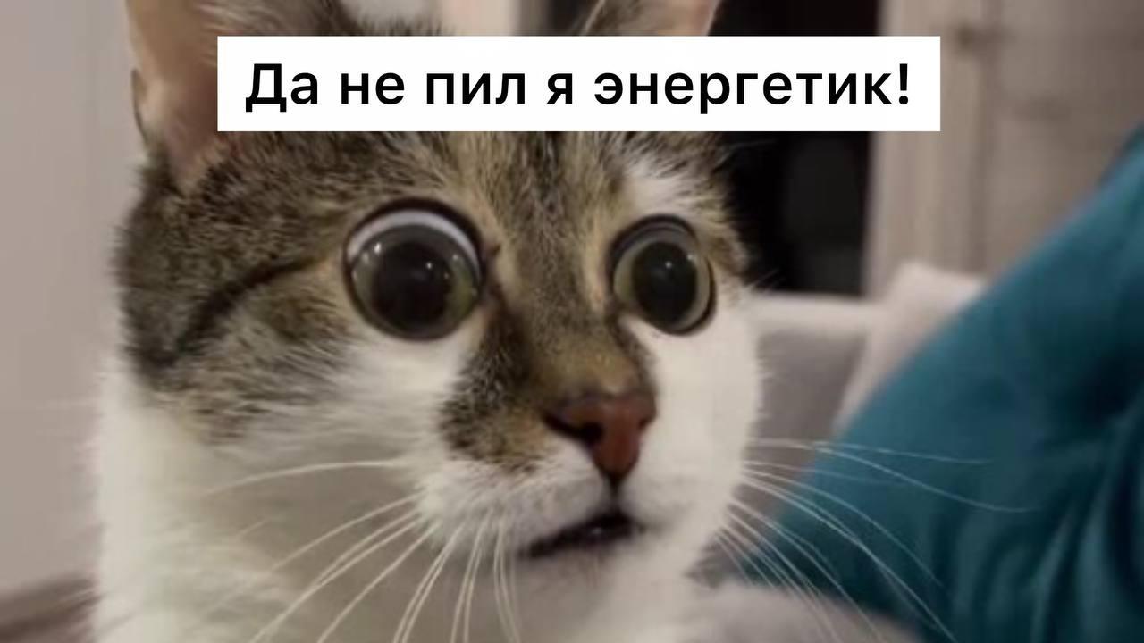 Ежедневное употребление энергетиков сокращает жизнь на 25 лет, — врачи Даже...