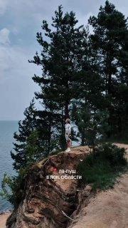 Ленобласть сравнили с легендарным Ла-Пушем из «Сумерек» 🇷🇺 Источник: ЧП ПИТЕР