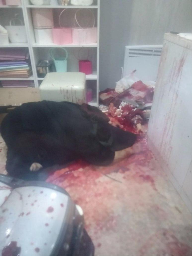 В Татарстане бывший парень зарезал 18-летнюю девушку в цветочном магазине и покончил с собой: возлюбленная не хотела восстанавливать отношения