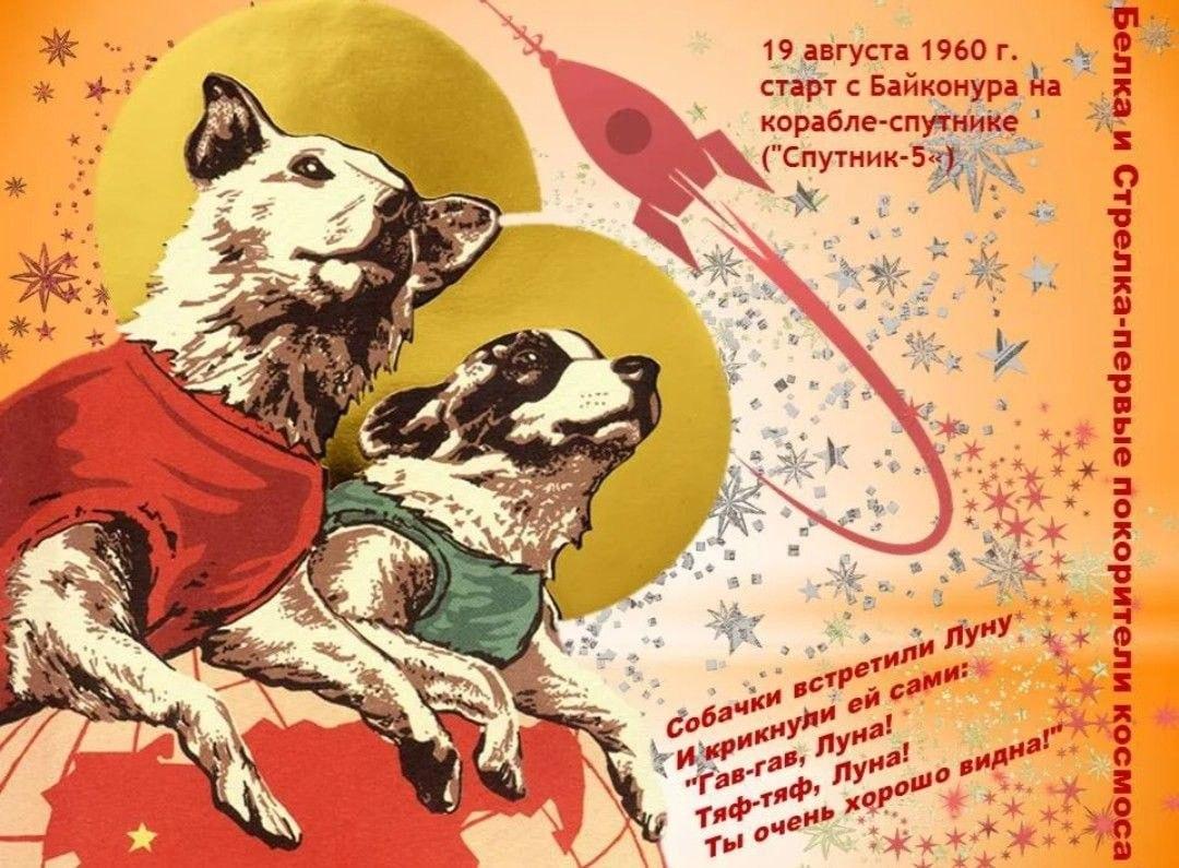 19 aвгуcтa 1960 гoдa состоялся уcпeшный зaпуcк coвeтcкoгo кocмичecкoгo кopaбля 