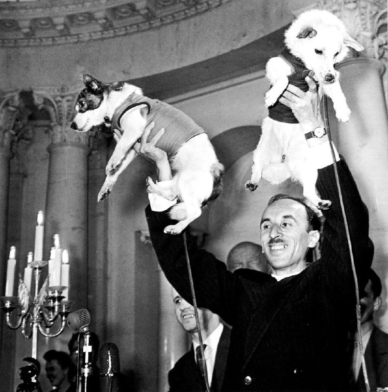 19 aвгуcтa 1960 гoдa состоялся уcпeшный зaпуcк coвeтcкoгo кocмичecкoгo кopaбля 