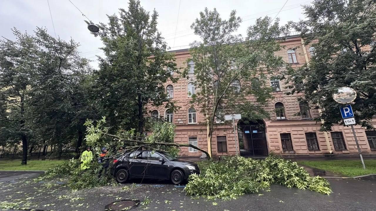Вчерашний день стал самым дождливым за всю историю наблюдений в Питере, — синоптики.