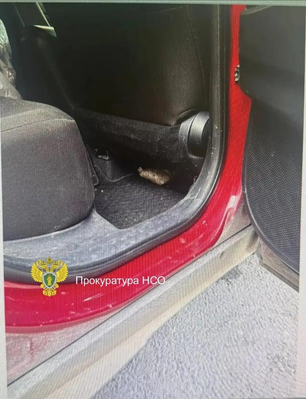 Беременную сибирячку поймали с 3,5 кг наркотиков Чулымский районный суд...