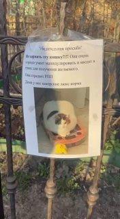 В Хамовниках кошка выпрашивает еду у прохожих. Причем отмечается, что...