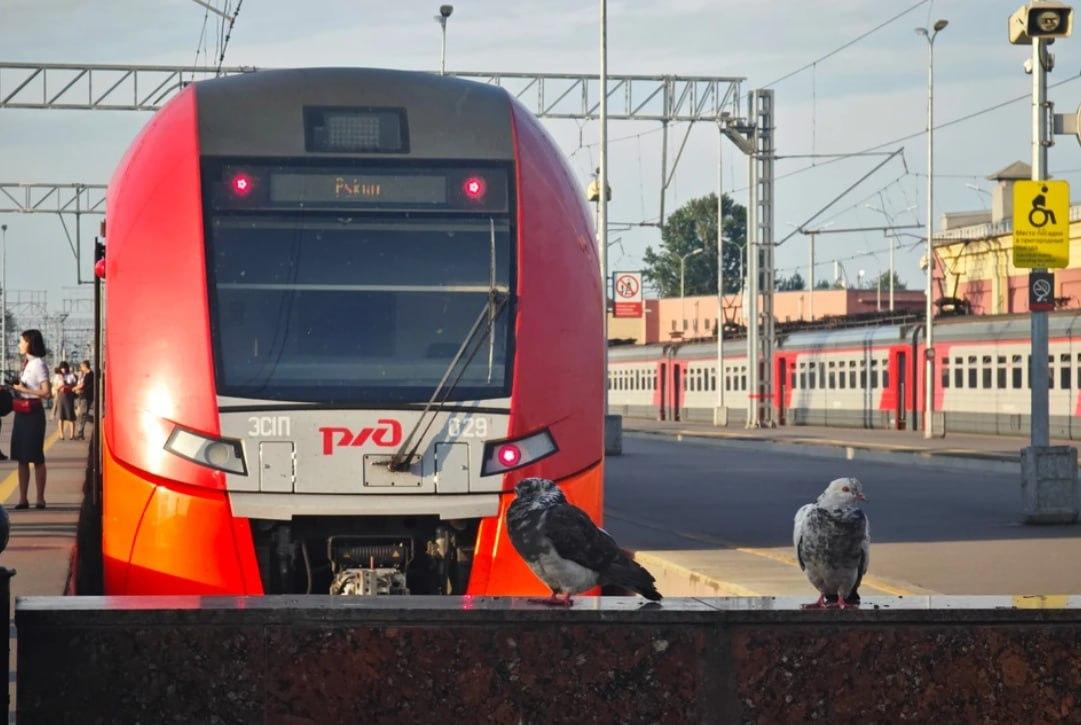 Дополнительную «Ласточку» пустили из Петербурга в Выборг по будням до конца...