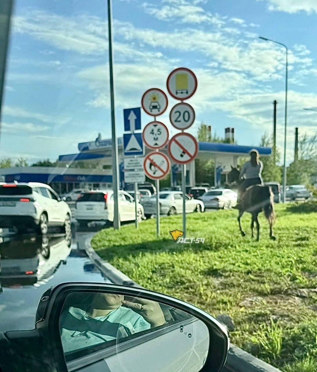 В Новосибирске водители пересаживаются на лошадей из-за дефицита топлива 😅