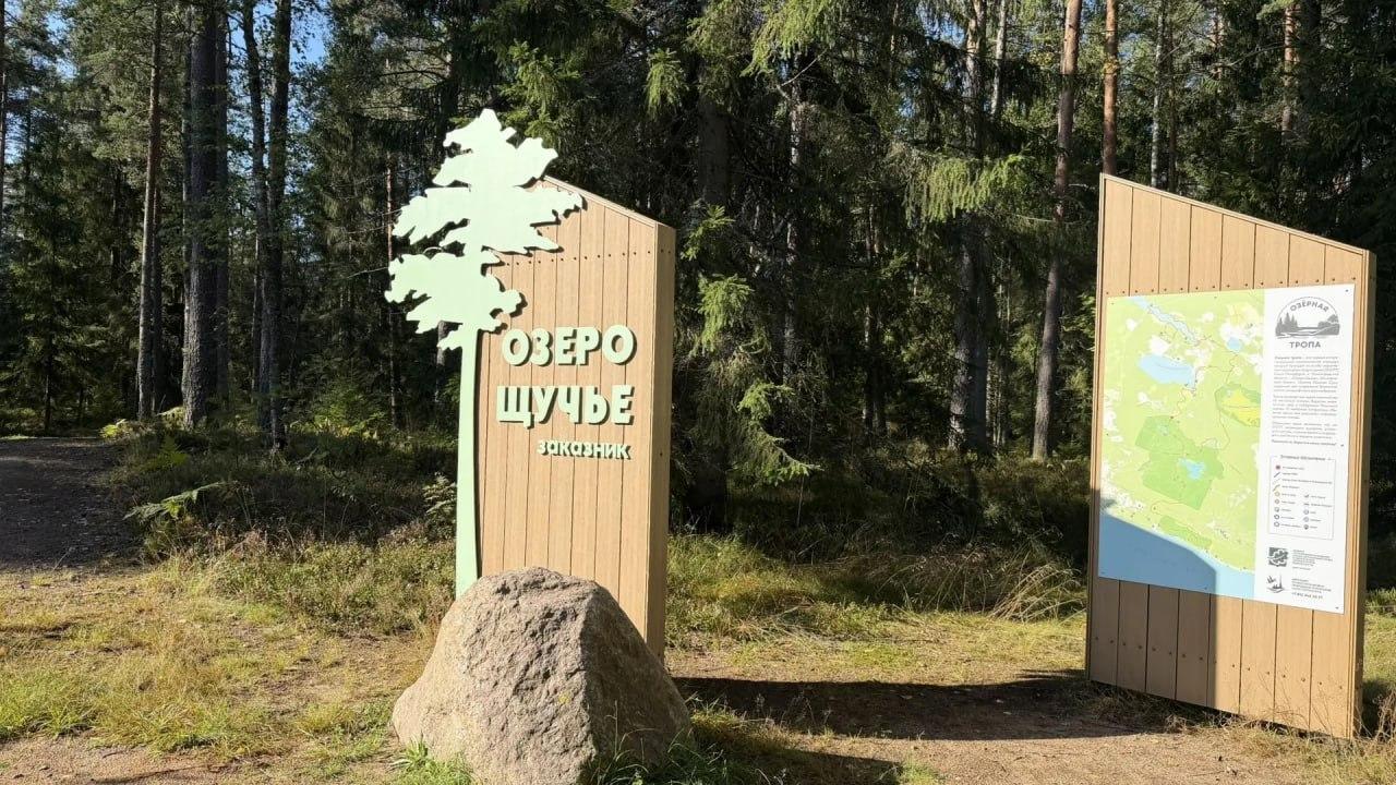 В Петербурге восстанавливают лес в заказнике «Озеро Щучье» В петербургском...
