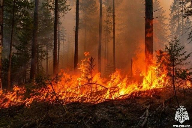 В Новосибирской области продлено экстренное предупреждение о высокой...