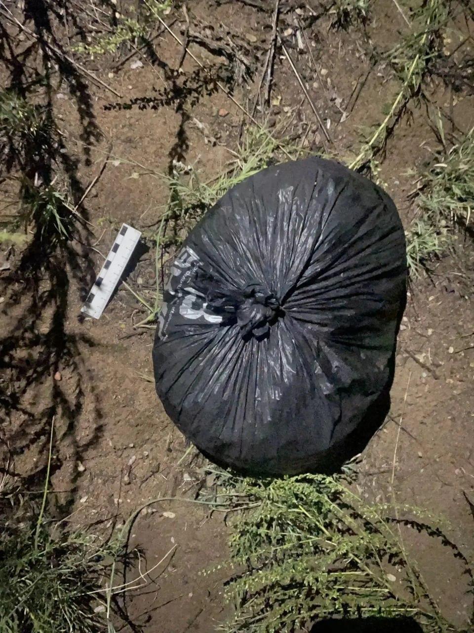 Наркополицейские изъяли более 235 граммов марихуаны у жителя Кызыла
