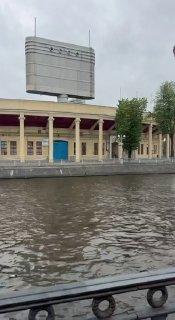 Баклана заметили на Петровском острове в Петербурге 🇷🇺 Источник: ЧП ПИТЕР