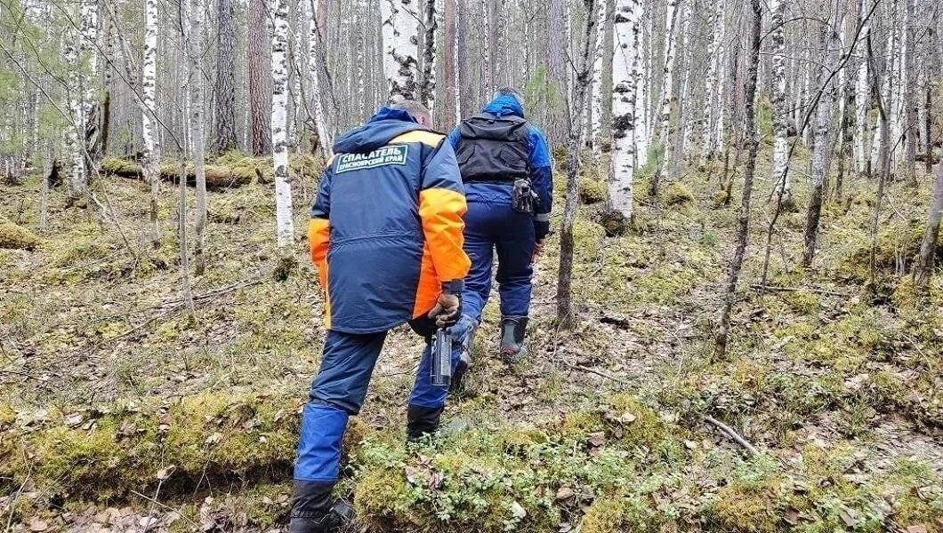 Около 130 человек ежегодно пропадают в лесах Красноярского края Ежегодно в...