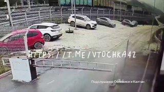 Медвежонок напугал собаку, напугался сам и врезался в ограждение на станции...