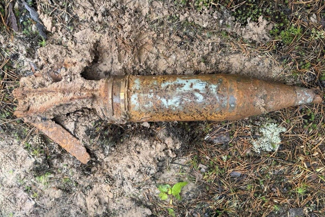 В лесу под Братском нашли 100-миллиметровый артиллерийский снаряд.