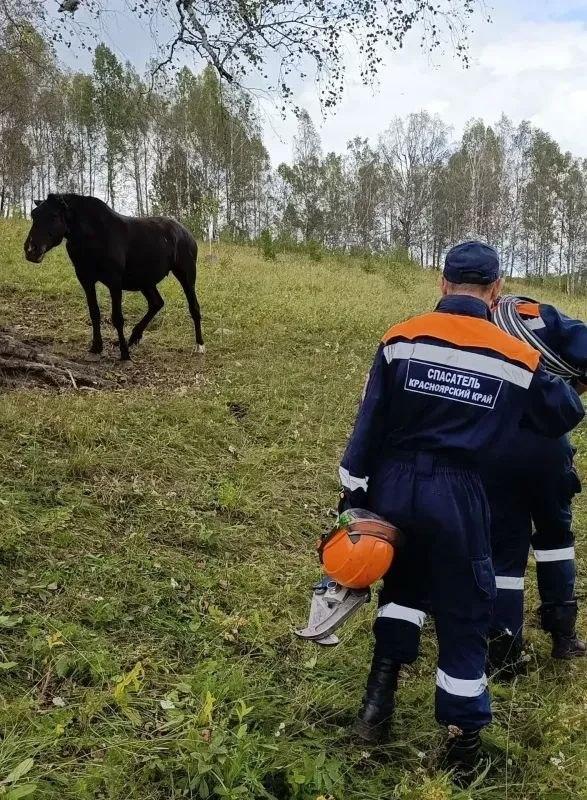 В Шарыповском МО спасатели освободили из 