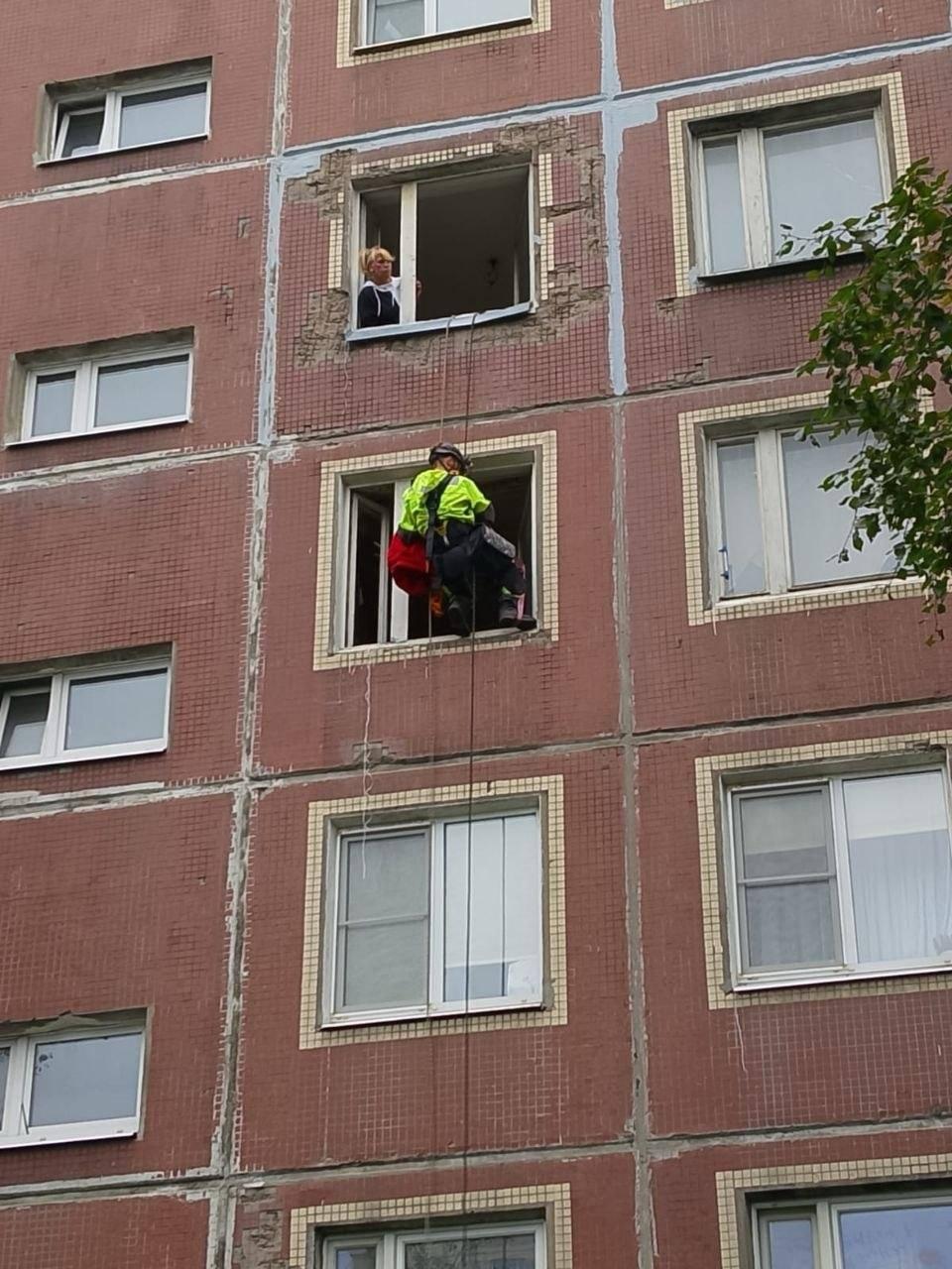 Кошка 10 дней ждала хозяйку в запертой квартире Петербурга