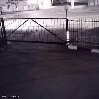 Медведь бегает по Магадану, люди — от него