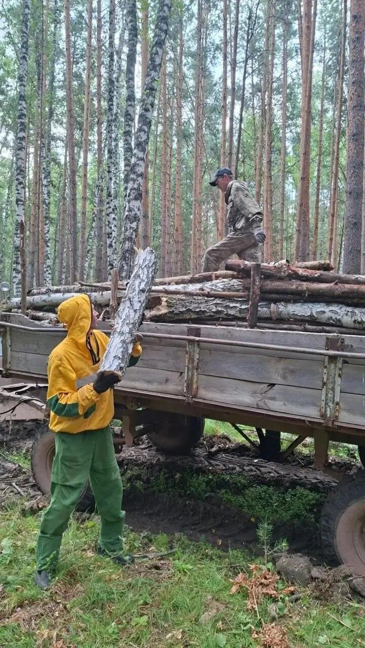 В окрестностях села Дзержинское лесопожарные службы проводят плановые работы...