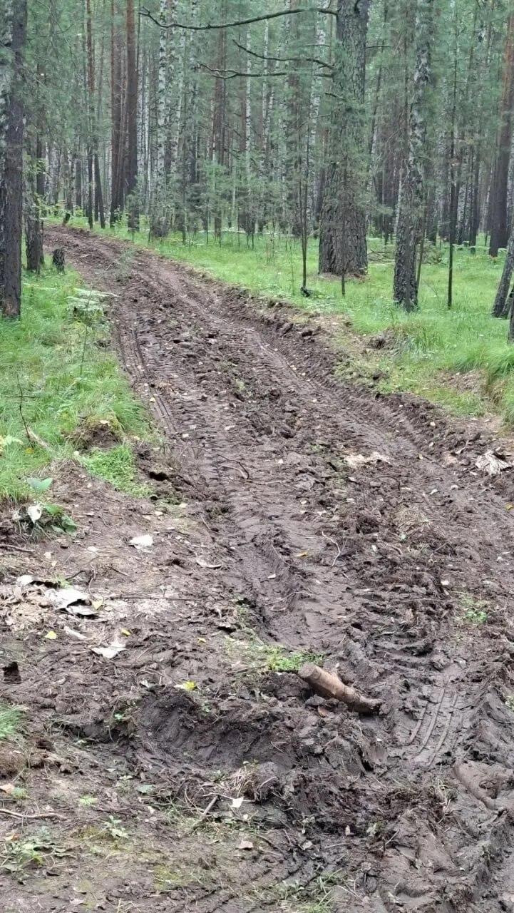В окрестностях села Дзержинское лесопожарные службы проводят плановые работы...