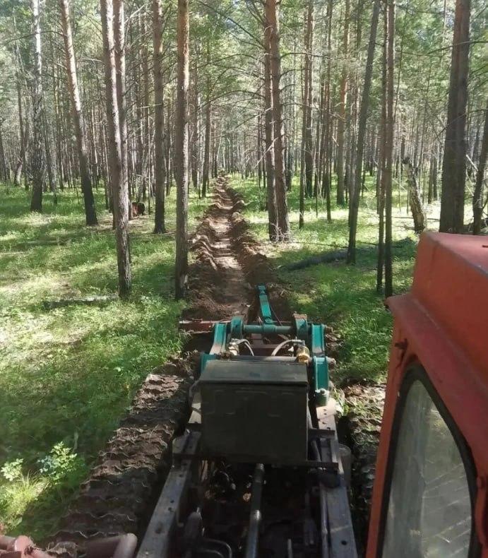 В окрестностях села Дзержинское лесопожарные службы проводят плановые работы...
