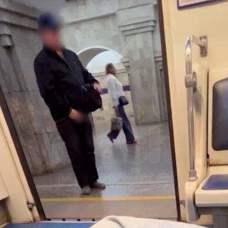 Лютый мастурбатор пугает девушек в питерском метро своим удавом под сумкой....