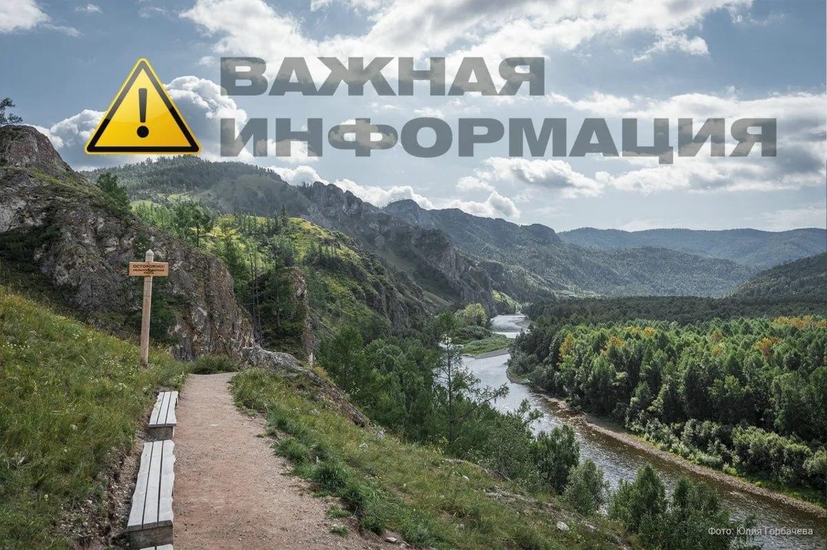 Из-за медведей в Хакасии для посещения закрыли Тропу предков. Хищники выходят...
