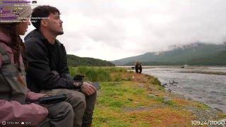 Стример чуть не стал обедом бурого медведя в прямом эфире.