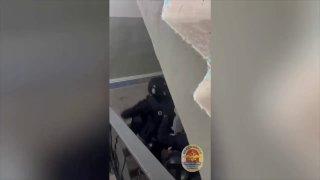 Дивногорский боксёр запер обидчика в бане и угрожал ему пистолетом. 24-летний...